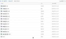 加工调料爆料流程视频